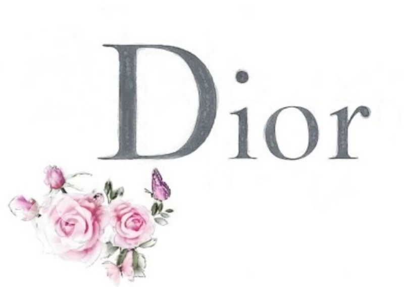 حقائب Dior تقليد درجة أولى