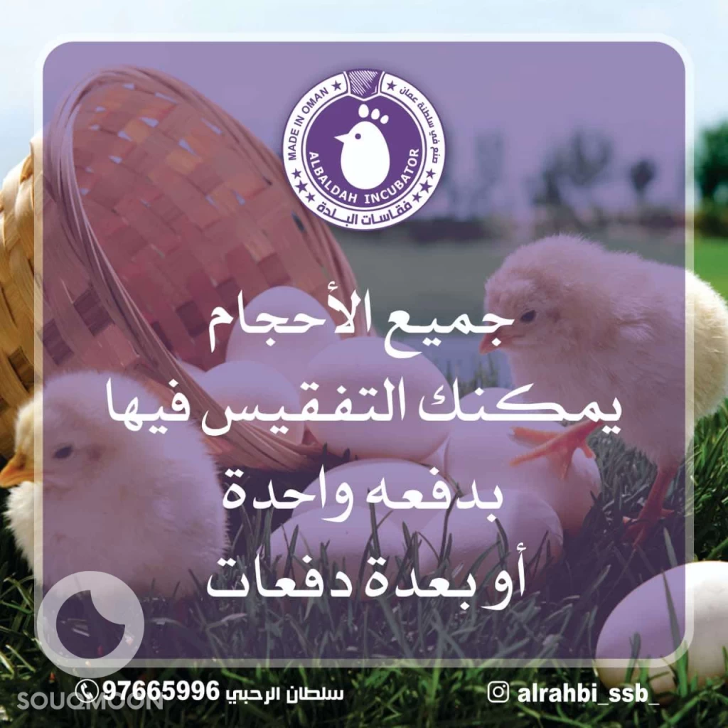 فقاسات البلدة العمانية