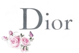 حقائب Dior تقليد درجة أولى