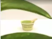 ايس كريم 