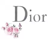 حقائب Dior تقليد درجة أولى 