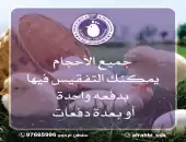 فقاسات البلدة العمانية 