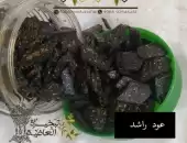 عود راشد 