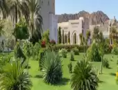 places where are you can visit It in muscat. and buses, cars tourists car require 