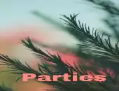 parties 