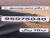 ارقام مميزه 