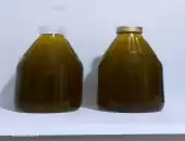 olive oil 