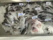 Selling and grilling fresh fish 