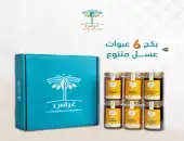 بكج 6 عبوات عسل متنوع 