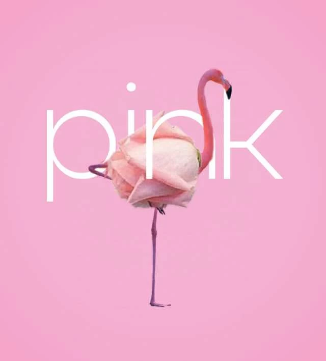 pink market
